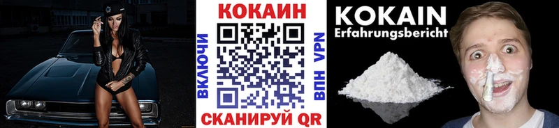 дарнет шоп  Кировск  COCAIN Fish Scale 