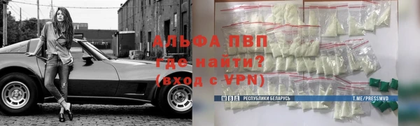 мяу мяу мука Бородино