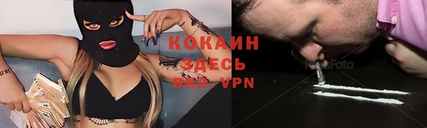 мяу мяу мука Пересвет
